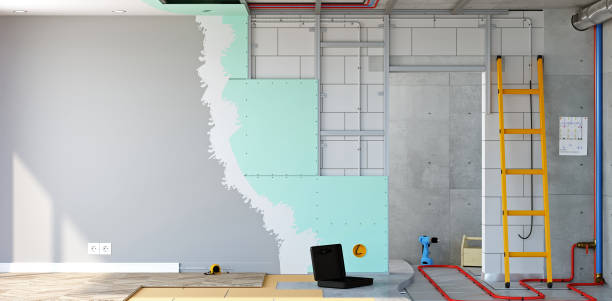 Best Residential Mold Inspection & Testing  in Tega Cay, SC
