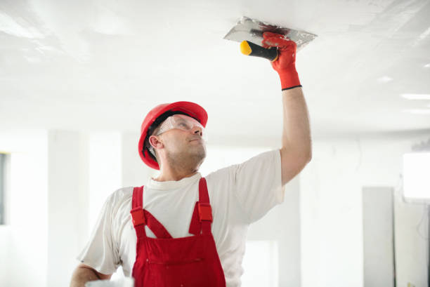 Best Basement Mold Removal  in Tega Cay, SC