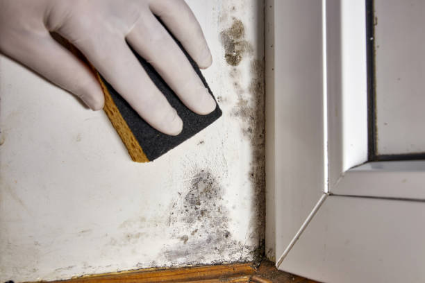 Best Indoor Air Quality Assessment  in Tega Cay, SC