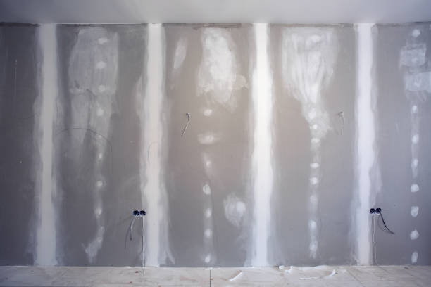 Best Attic Mold Removal  in Tega Cay, SC